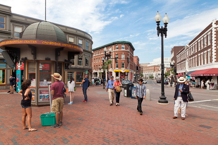 Harvard Square  Trip Packages