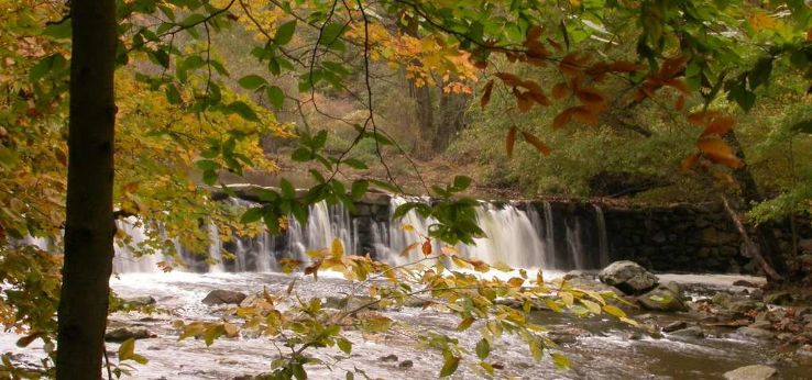 Ridley Creek State Park Trip Packages