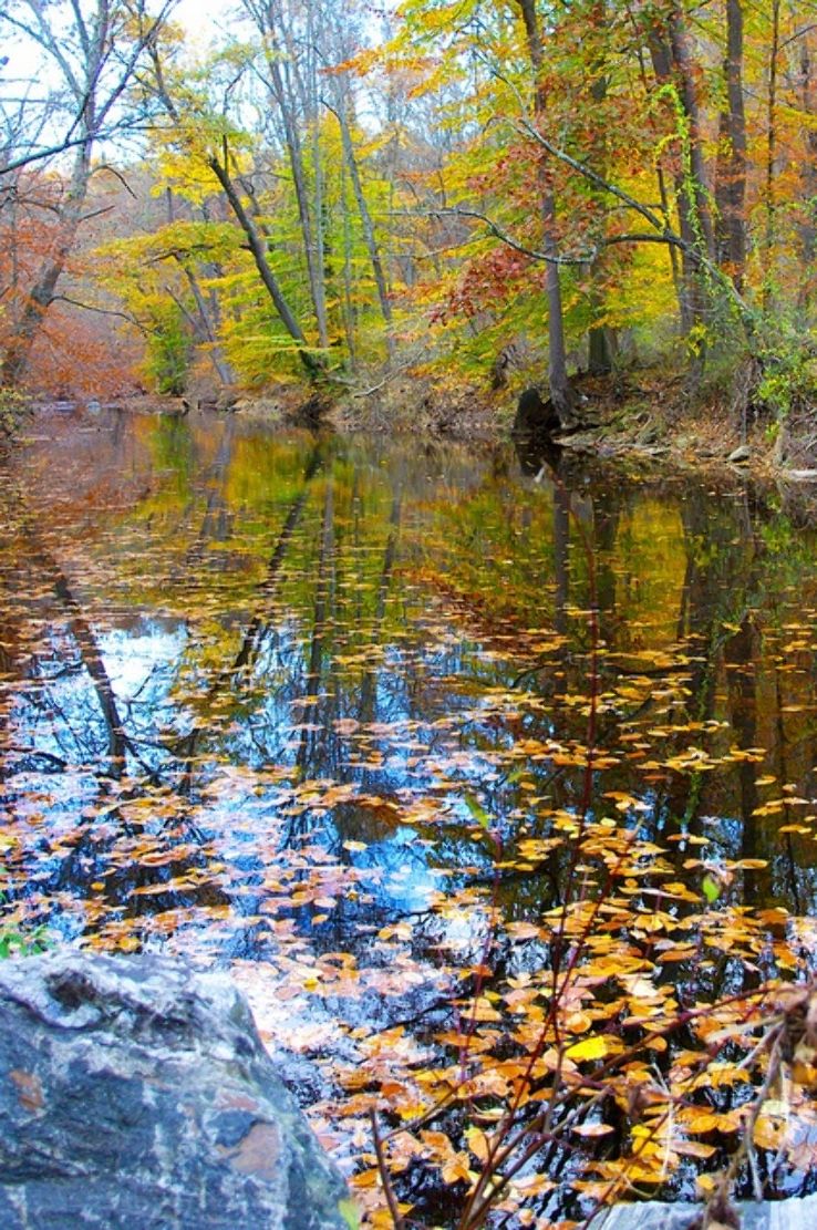 Ridley Creek State Park Trip Packages