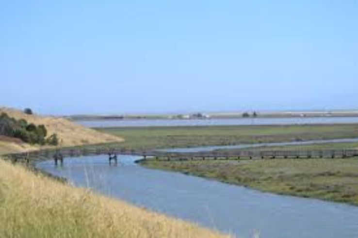 San Pablo Bay National Wildlife Refuge Trip Packages