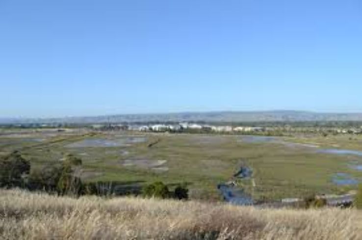 San Pablo Bay National Wildlife Refuge Trip Packages