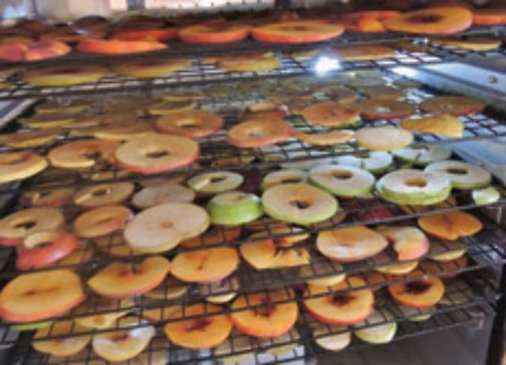 Little History with Apples  Trip Packages