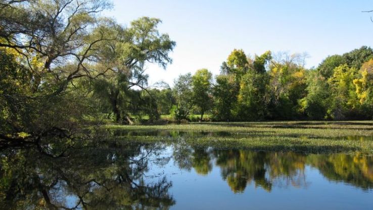 Fresh Pond Reservation  Trip Packages