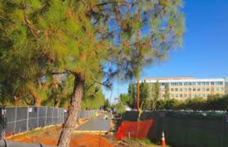 Iron Horse Regional Trail Trip Packages