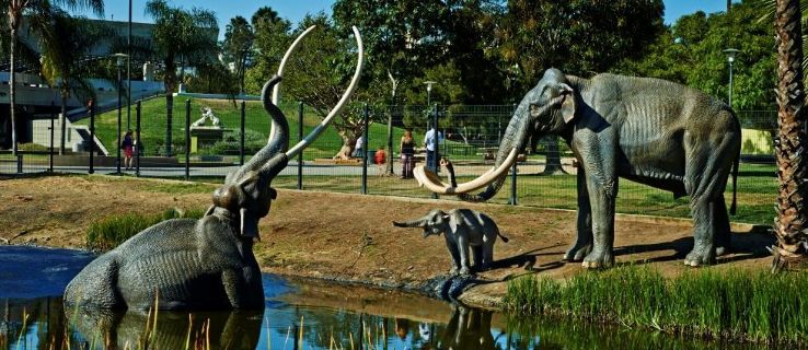 Page Museum and La Brea Tar Pits Trip Packages