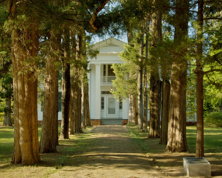 Rowan Oak Trip Packages