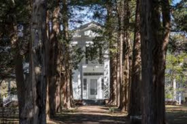 Rowan Oak Trip Packages