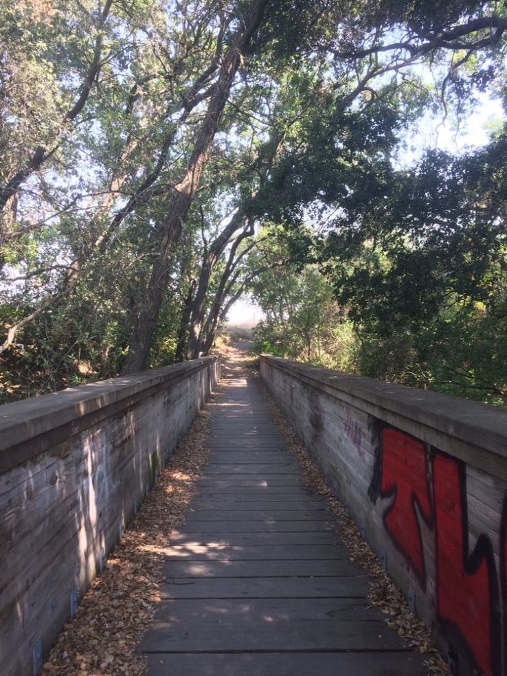 Tassajara Creek Regional Park   Trip Packages