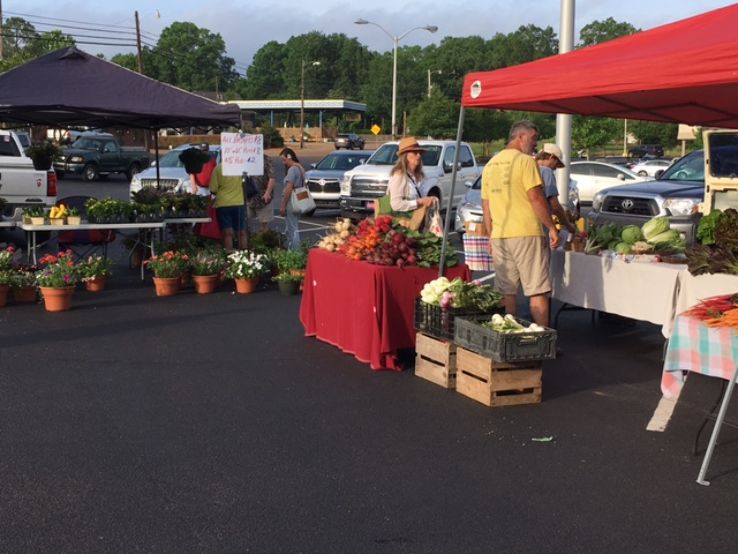 Oxford City Farmers Market Trip Packages