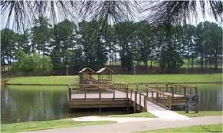 John Henderson Family Park Trip Packages