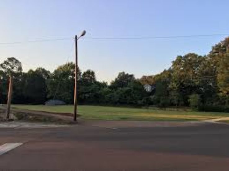 Lamar Park Trip Packages