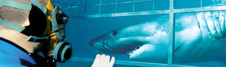 Long Island Aquarium and Exhibition Center Trip Packages