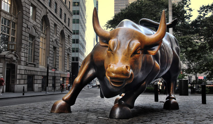 Charging Bull Trip Packages