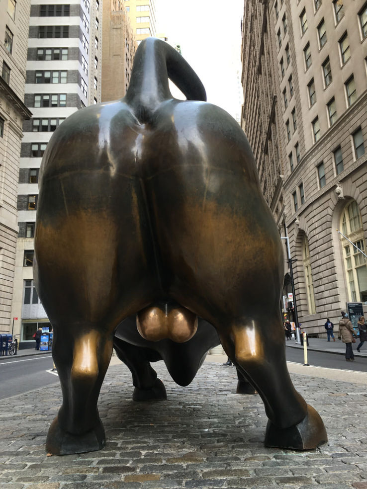 Charging Bull Trip Packages