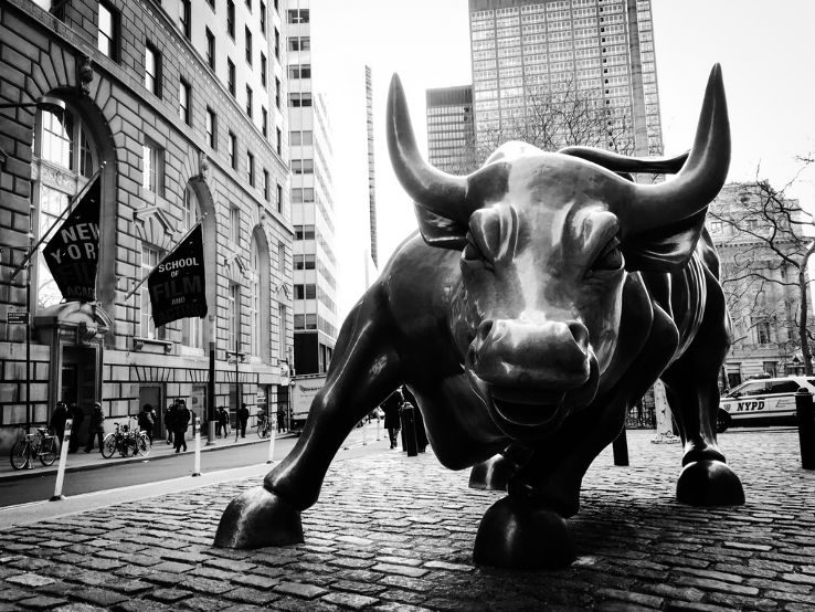 Charging Bull Trip Packages