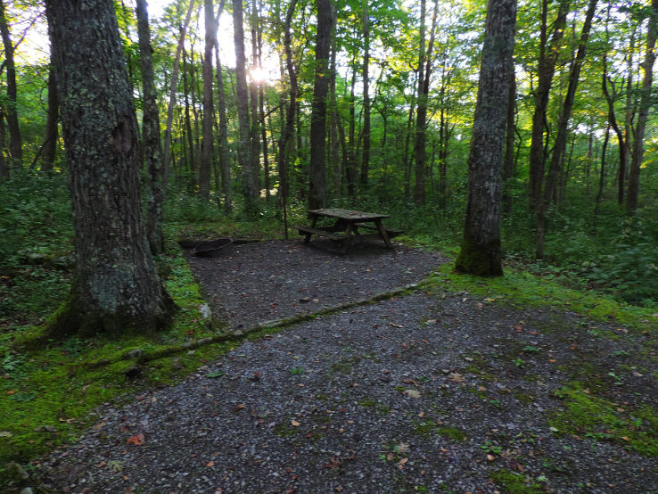 High Knob Recreation Area Trip Packages