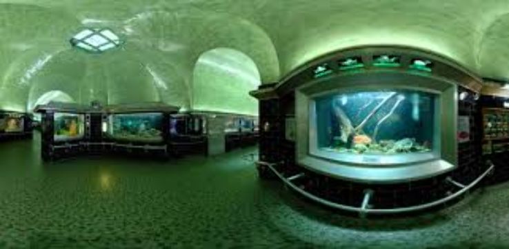 Belle Isle Aquarium Trip Packages
