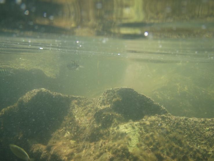 St. Andrews State Park Trip Packages