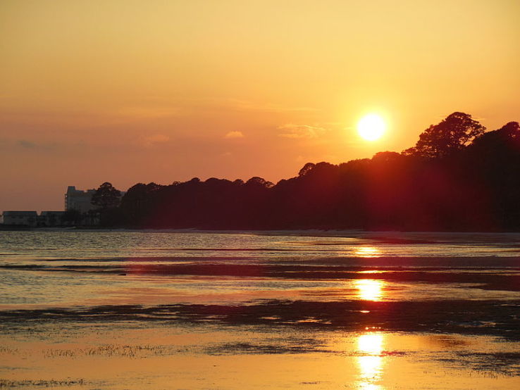 St. Andrews Bay Trip Packages