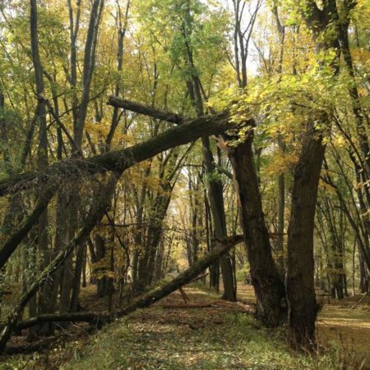 Shiawassee National Wildlife Refuge Trip Packages