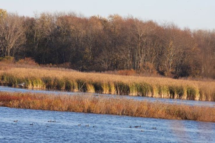 Shiawassee National Wildlife Refuge Trip Packages