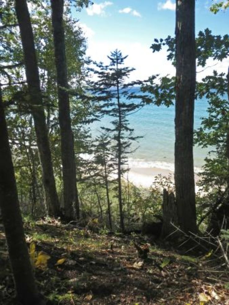 Thorne Swift Nature Preserve Trip Packages