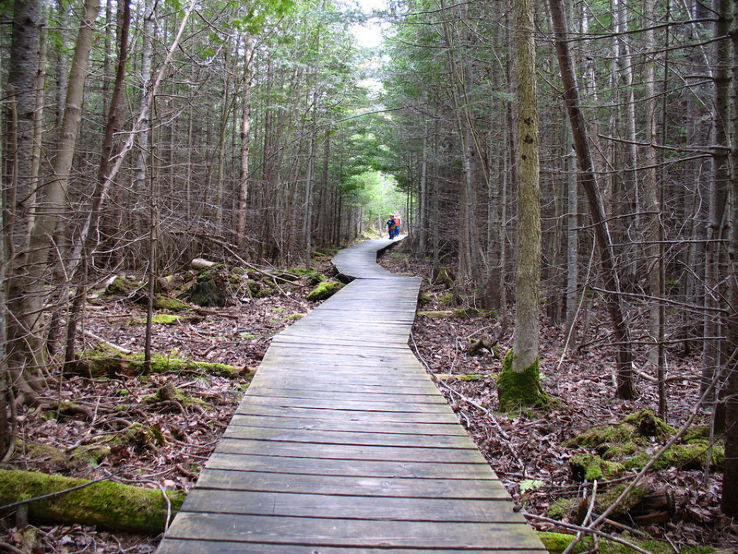 Thorne Swift Nature Preserve Trip Packages