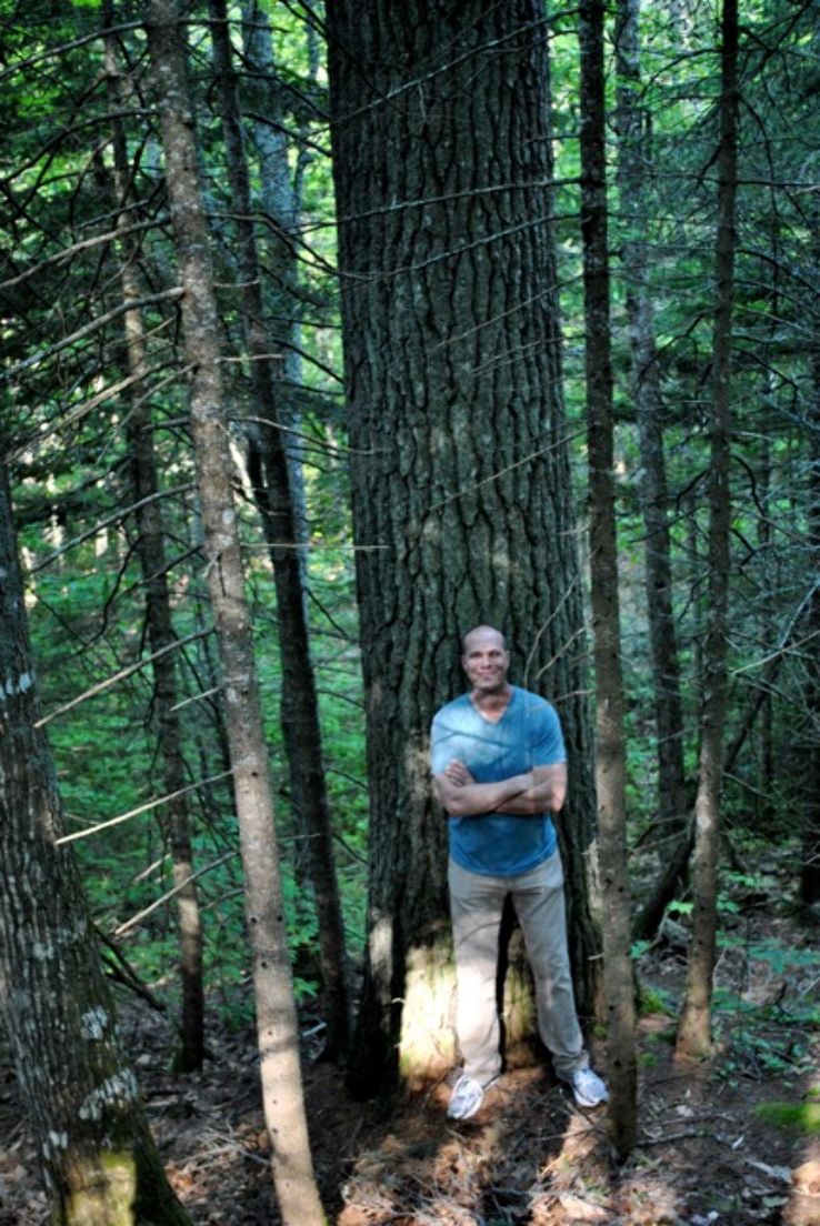 Estivant Pines Nature Sanctuary Trip Packages