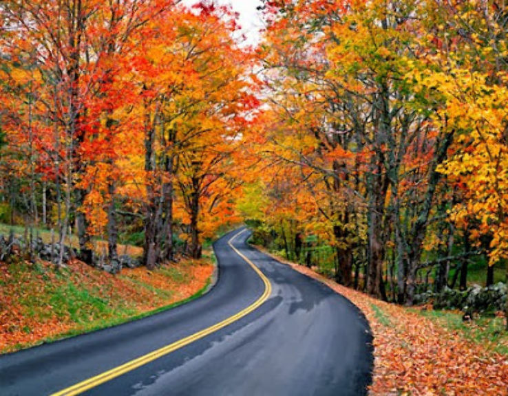 Petoskey Area Trip Packages