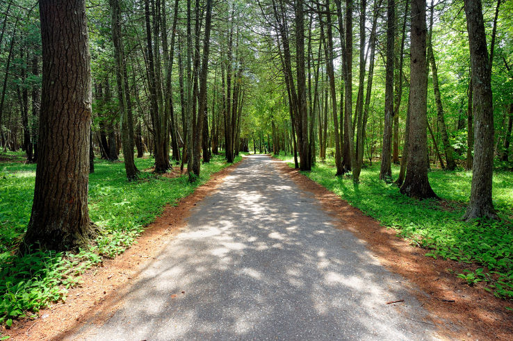 Mackinac Island State Park Trip Packages