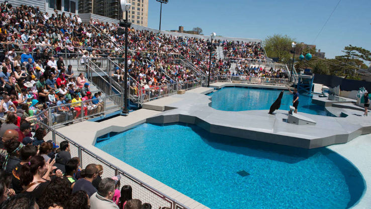 New York Aquarium Trip Packages