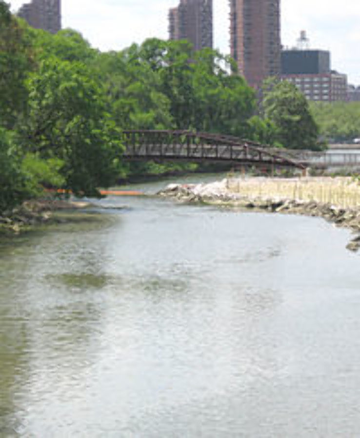 Randalls and Wards Islands Trip Packages