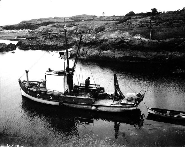 Puget Sound & the San Juan Island  Trip Packages