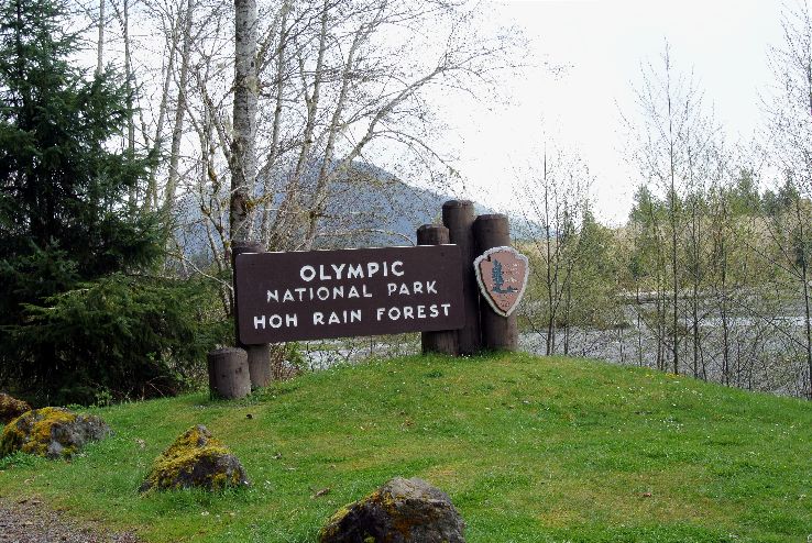 Olympic National Park  Trip Packages