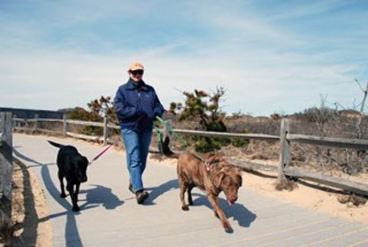 Cape Cod National Seashore Trip Packages