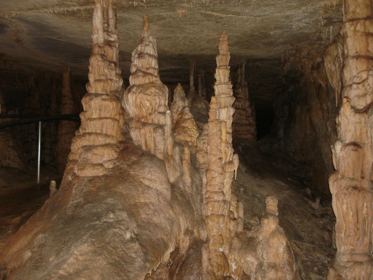 Mammoth Cave National Park  Trip Packages