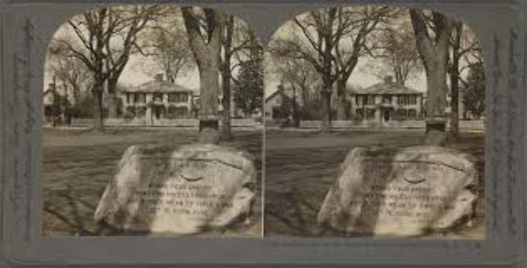 Dennis  Trip Packages