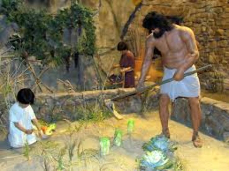 Creation Museum  Trip Packages