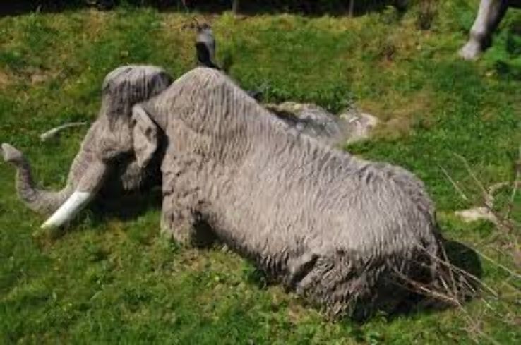 Big Bone Lick State Park  Trip Packages