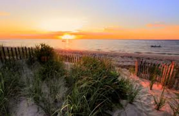 Cape Cod Bay  Trip Packages