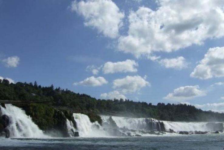 Willamette Falls Trip Packages