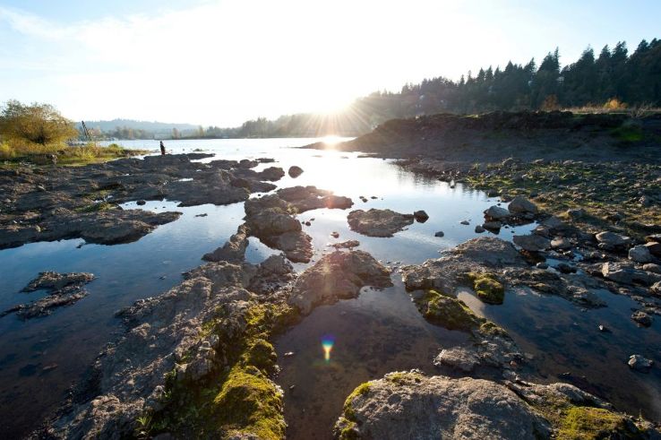 Elk Rock Island  Trip Packages