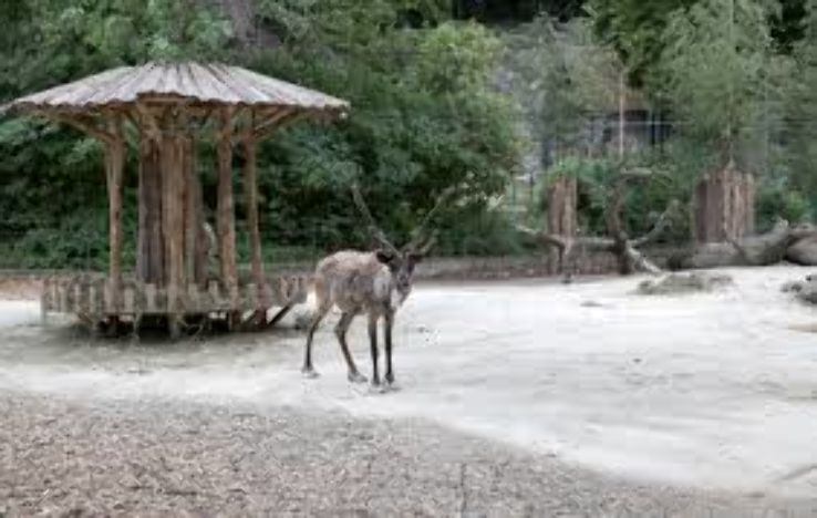 Vienna Zoo- Tiergarten Schonbrunn Trip Packages