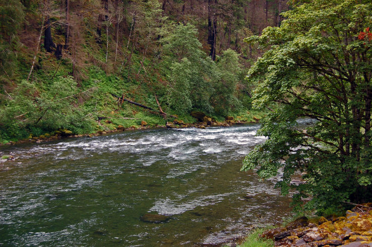 Clackamas River Scenic Waterway Trip Packages