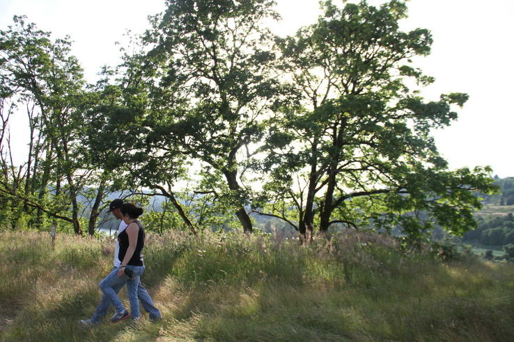 Canemah Bluff Nature Park  Trip Packages