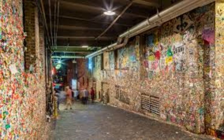 Gum Wall Trip Packages