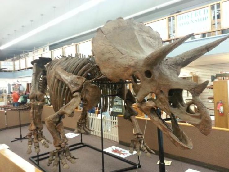 Barnes County Historical Society Museum Trip Packages