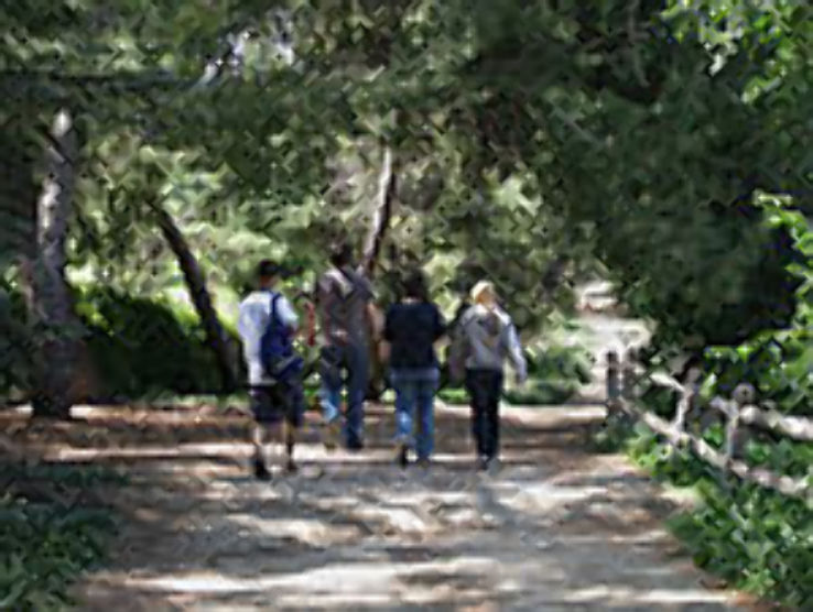 Ralph B. Clark Regional Park Trip Packages