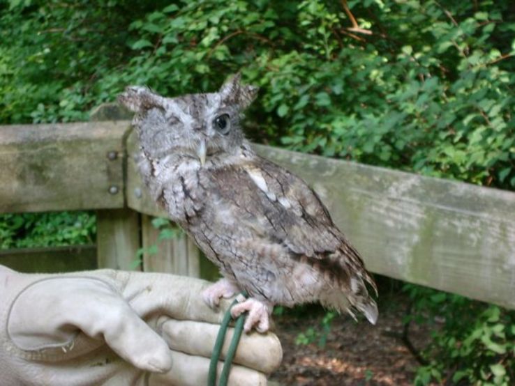 Binder Park Zoo Trip Packages