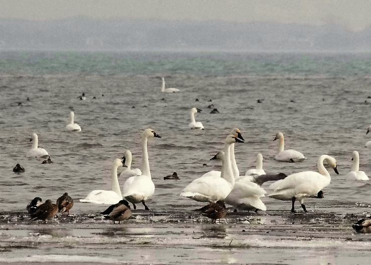 Lake Erie Trip Packages